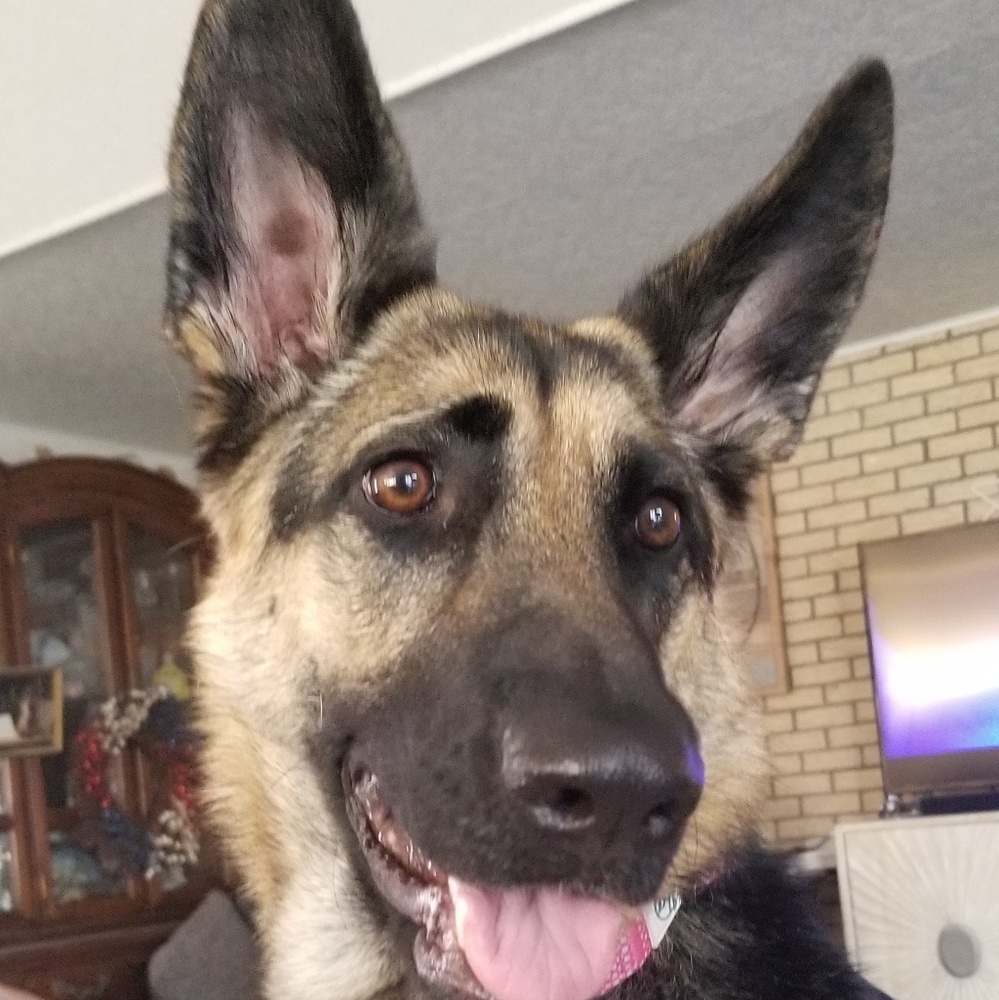 Meet your Posher, Chantal